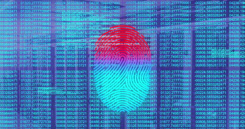 Digital Fingerprint with Data and Security Concepts
