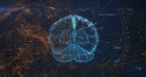 Digital Brain Analyzing Data with Virtual Interface - Download Free Stock Images Pikwizard.com