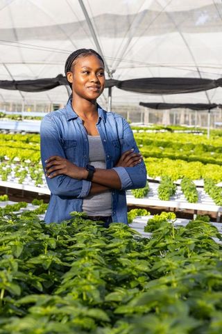 Confident Woman Overseeing Hydroponic Farm