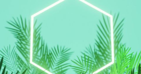 Tropical leaves framing neon hexagon on blue background