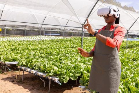 Woman Wearing VR Headset Experiencing Modern Hydroponic Agriculture