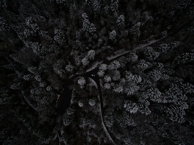 Aerial View of Snow Covered Forest with winding roads - Download Free Stock Photos Pikwizard.com
