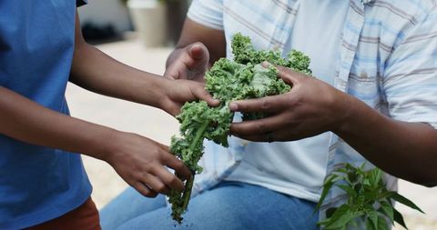 Diverse father and son sharing fresh kale on patio, teaching healthy eating and gardening
