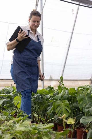 Nursery supervisor inspecting tropical houseplants in greenhouse holding tablet and pen