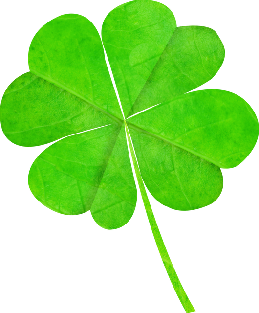 Transparent Four Leaf Clover for Luck and Success Designs - Download Free Stock Videos Pikwizard.com