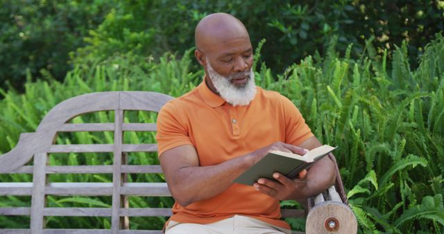 Elderly Man with Beard Reading Book on Bench in Park - Download Free Stock Images Pikwizard.com