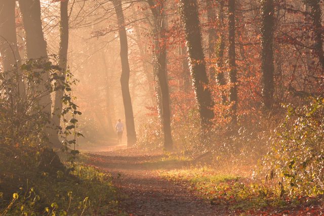 This image depicts a jogger in a misty forest trail during an autumn sunrise. Sunlight filters through trees, casting a warm glow on the fallen leaves. Ideal for presentations about outdoor activities, healthy living, or seasonal changes in nature.