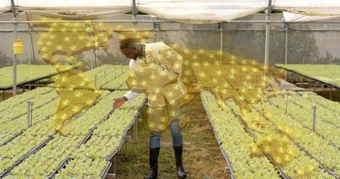 Innovative Agriculture in Greenhouse with Global Technology Overlay