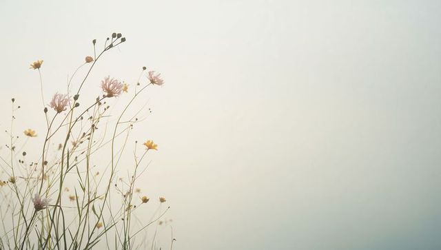 Swaying wildflowers along left edge with soft pastel sky and minimal negative space