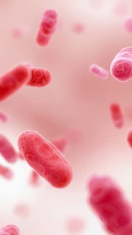 Revealing rod-shaped cells drifting through soft pink fluid in microscopic vertical video