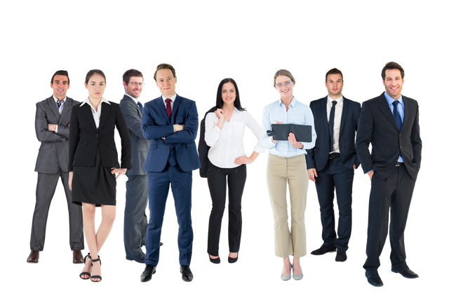 Diverse Professional Team Isolated on Transparent Background - Download Free Stock Videos Pikwizard.com