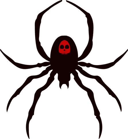 transparent black spider with red skull on transparent background - Download Free Stock Videos Pikwizard.com