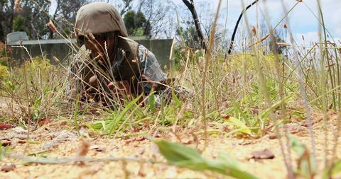 Soldier in Camouflage Lying Low Among Tall Grass during Tactical Drill - Download Free Stock Images Pikwizard.com