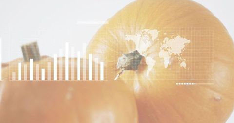 Framing glossy warm yellow onion with HUD bar chart and world map overlay, high-key