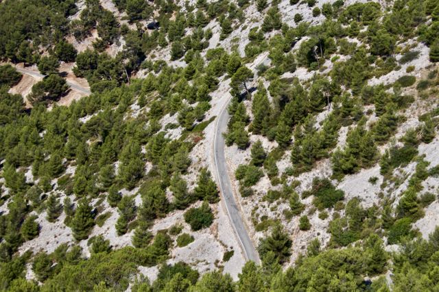 This image captures an aerial view of a winding road snaking through a lush pine forest in a mountainous area. The scene, with its lush green trees and rugged terrain, conveys a sense of adventure and tranquillity, making it ideal for travel and nature-related content. It's perfect for promoting environmentally focused projects, travel itineraries, hiking and camping advertisements, or as a scenic background for outdoor blogs and websites.