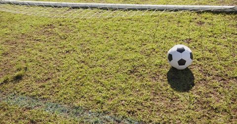 Soccer Ball Near Overturned Goal on Grass in Backyard - Download Free Stock Images Pikwizard.com