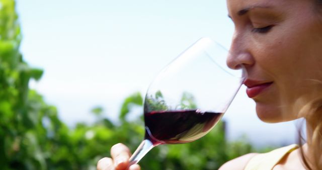 Woman Enjoying Red Wine in Scenic Vineyard - Download Free Stock Images Pikwizard.com