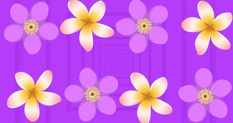 Symmetrical Yellow and Pink Flower Design on Purple Background