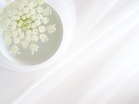 Delicate white flowers in translucent bowl on pure white fabric