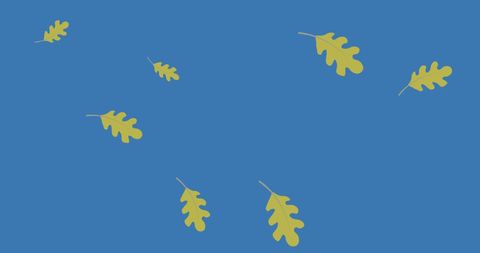 Yellow Leaf Icons on Bright Blue Background