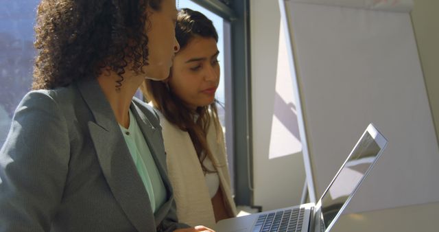 Two Businesswomen Discussing Work on Laptop in Office with Natural Light - Download Free Stock Images Pikwizard.com