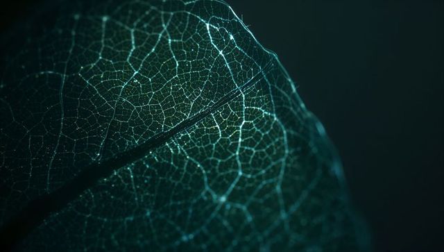 Teal backlit leaf skeleton showing intricate vein network with droplets and luminous detail