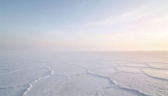 Textured salt flat with hexagonal crust stretching to horizon at pastel sunrise