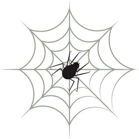 spider on intricate circular web with transparent background illustration - Download Free Stock Videos Pikwizard.com