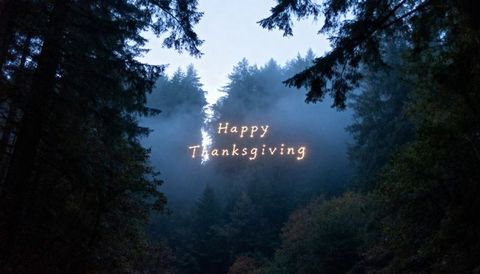 Glowing cursive Happy Thanksgiving sign hovering over foggy forest valley trailing sparks