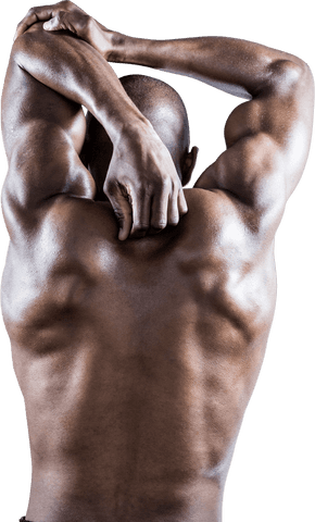 Rear View of Muscular Male Athlete Stretching on Transparent Background
