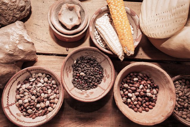 Assorted beans of various colors and types are displayed in earthen bowls alongside ears of yellow and white corn on a rustic wooden table. This setup highlights agricultural themes, traditional food preparation, and organic, natural ingredients. Ideal for use in articles about farming, healthy eating, traditional recipes, or organic foods marketing.