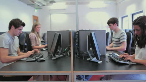 Focused College Students Studying in Computer Lab