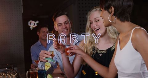 Diverse Friends Celebrating in Bar at Night