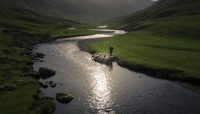 Shepherd guiding flock across shallow river through misty green valley at golden hour