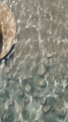 Vertical video showing sunhat beside lapping water casting light patterns on stones