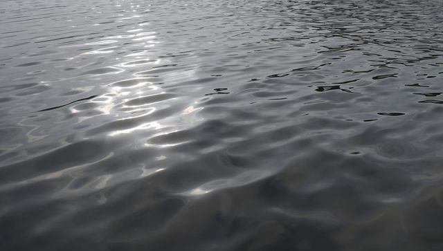 Sunlit water surface with gentle ripples and metallic shimmer, calm liquid texture