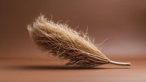 Dried grass tuft on brown background minimalist rustic decor