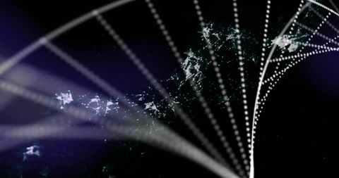 Digital DNA Strand and Network Connections in Abstract Background - Download Free Stock Images Pikwizard.com