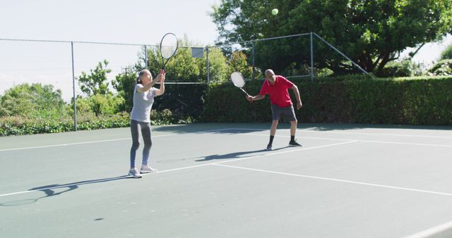 Active Seniors Playing Tennis on Sunny Day - Download Free Stock Images Pikwizard.com