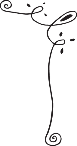 Elegant Black Curved Line Design Transparent Illustration - Download Free Stock Videos Pikwizard.com