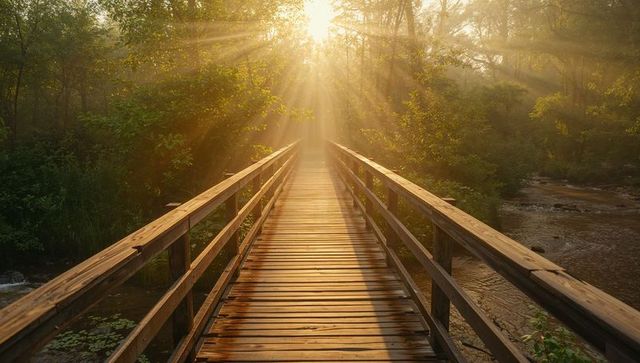 Sunlit wooden footbridge leading into lush forest
