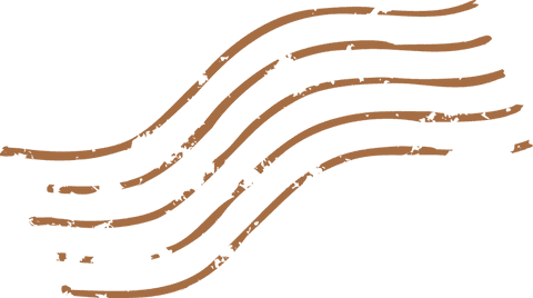 Wavy Brown Brush Strokes on Transparent Background - Download Free Stock Videos Pikwizard.com