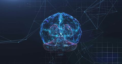 Digital Rendering of Human Brain with Data Visualizations - Download Free Stock Images Pikwizard.com