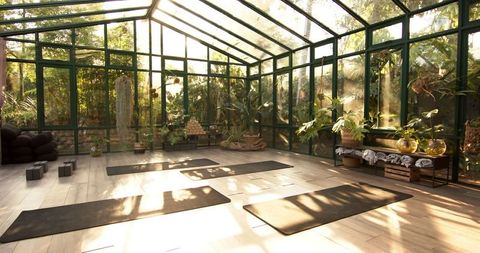 Sunlit glass house yoga space in serene forest setting