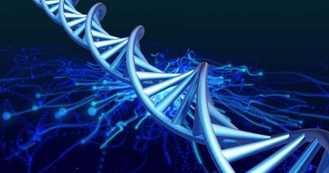 Digital Representation of DNA Helix in Blue Tones - Download Free Stock Images Pikwizard.com