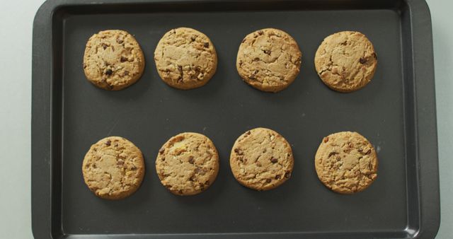 Picture showcases freshly baked chocolate chip cookies arranged on a baking tray. Ideal for use in articles or advertisements related to baking, recipes, home cooking, or desserts. Could also be used in content targeting an audience interested in food, snacks, or culinary arts.