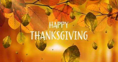 Happy Thanksgiving Day Message on Autumn Leaves Background - Download Free Stock Images Pikwizard.com