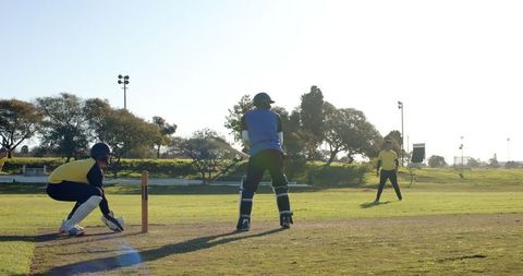 Male Cricket Team Playing on Sunny Grass Pitch