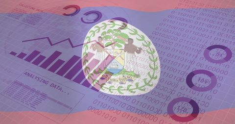 Data analysis with belize flag and binary code background