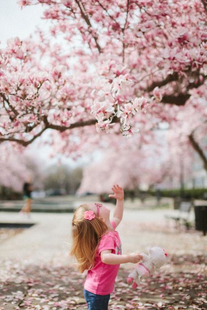 Young girl standing beneath a canopy of blooming cherry blossoms in a park. She is reaching up towards the flowers with joy and curiosity. She holds a stuffed toy in one hand. Ideal for use in advertisements, children's products, travel promotions, springtime events, or nature projects focusing on beauty and playfulness.